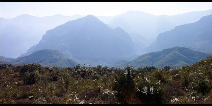 : Sierra Madre Oriental