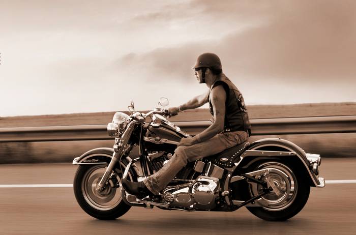 /: Harley-Davidson