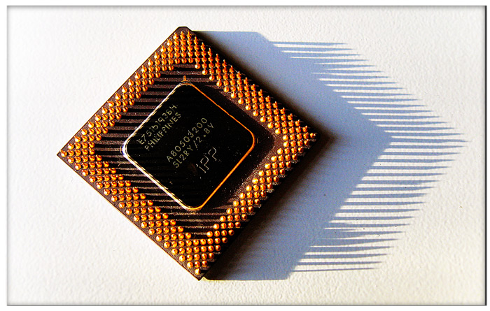 : Intel forever! (  )