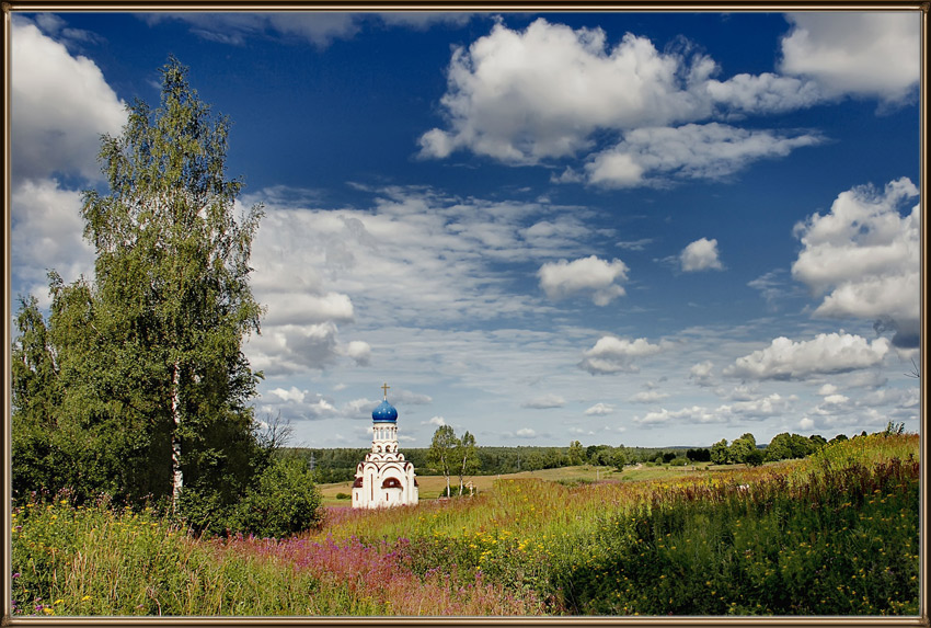 ������: ***