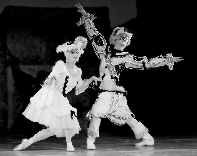 ����: �����.