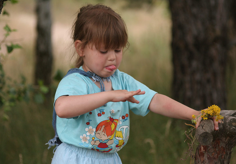 ����: �������...