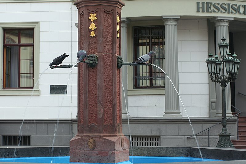 ����: ����� ��� �������� .