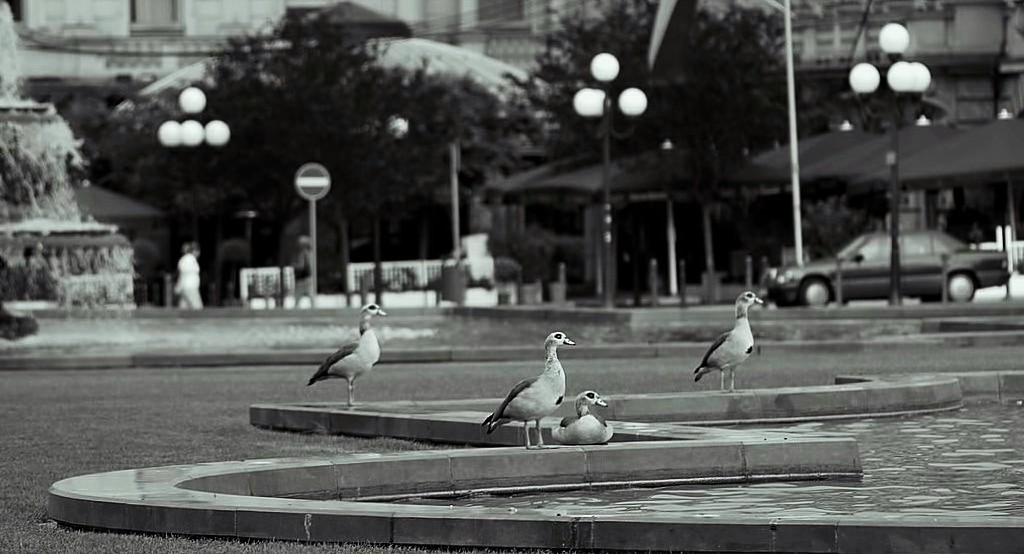 ����: ����� ���� ����������.