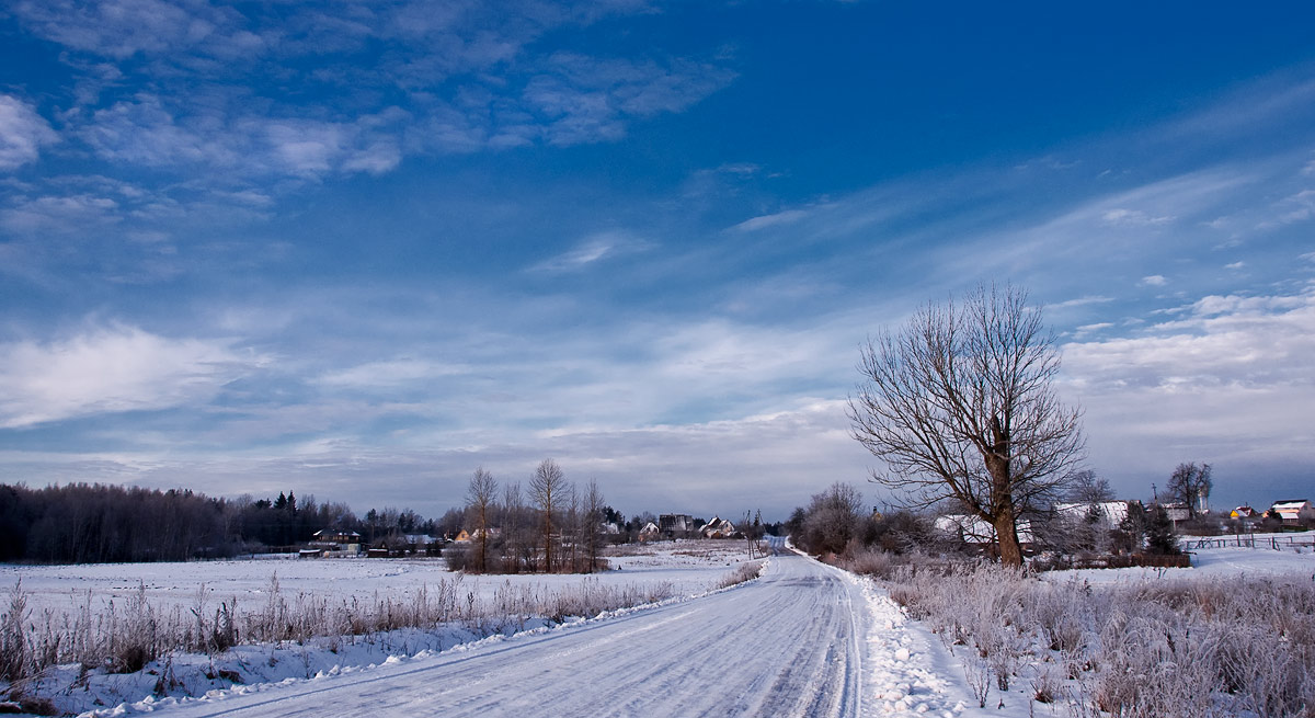 ������: ������ ������