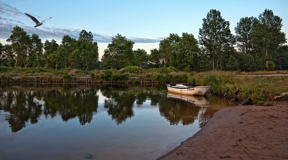 ������: * * *