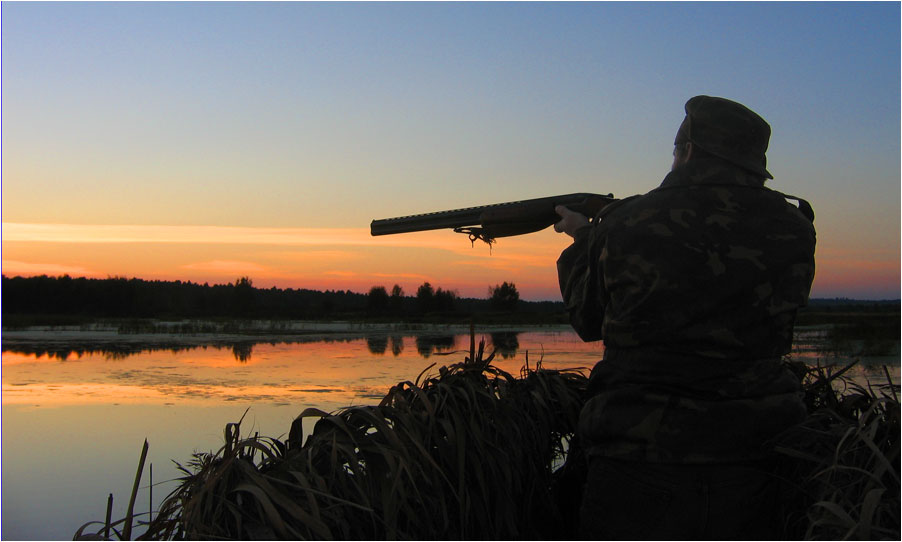 ������: ����� �� �������� ������.