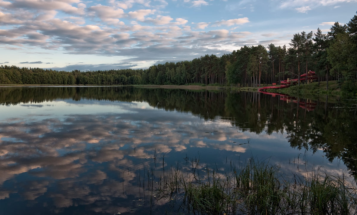 ������: * * * * *