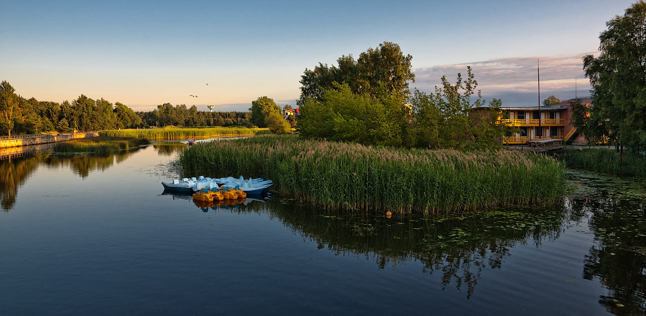 ������: �������� 