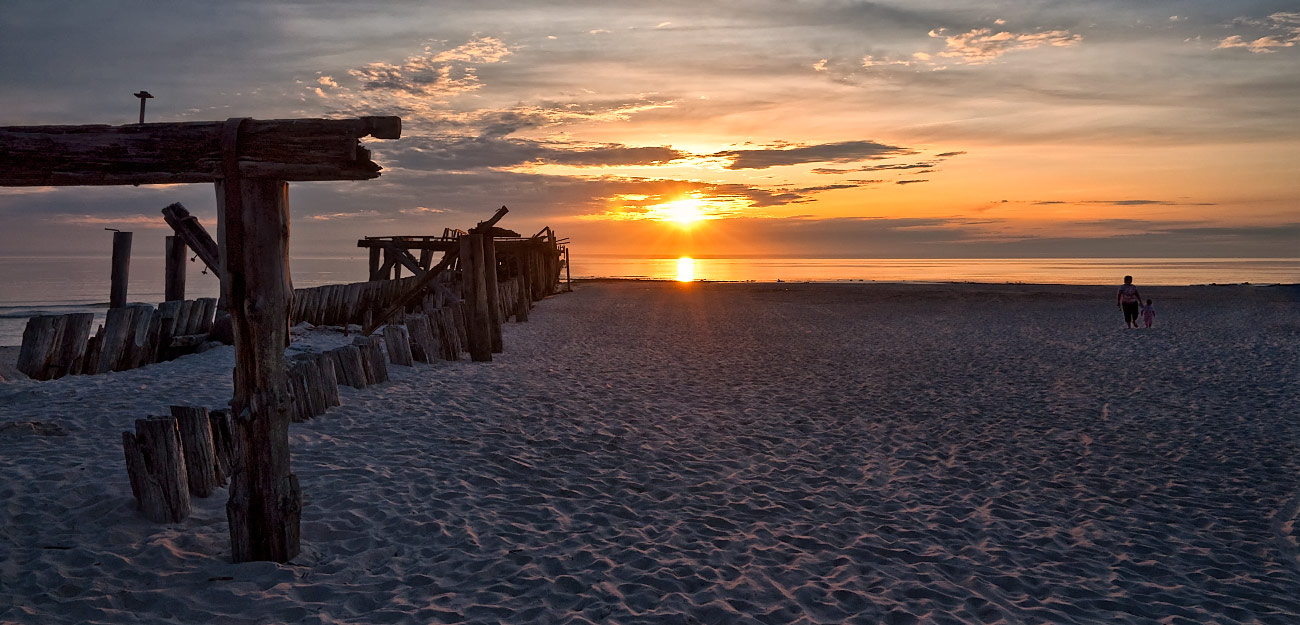 ������: ���� 