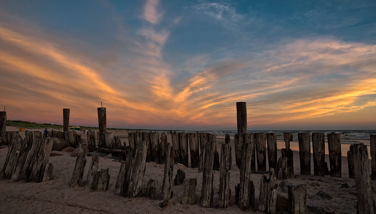 ������: * * * * *