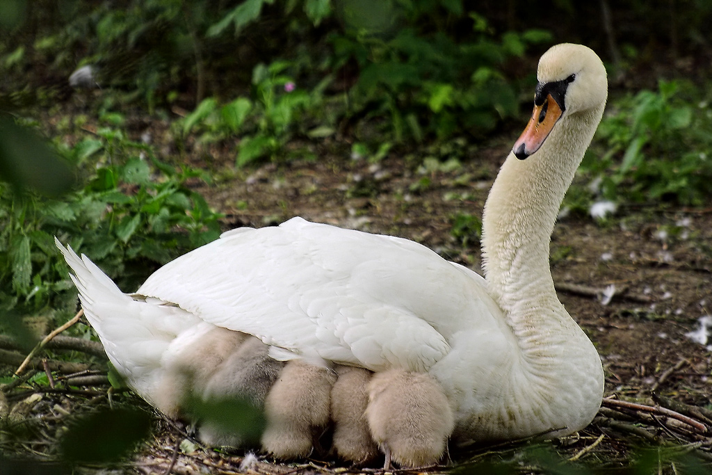 �����: ������ ������...