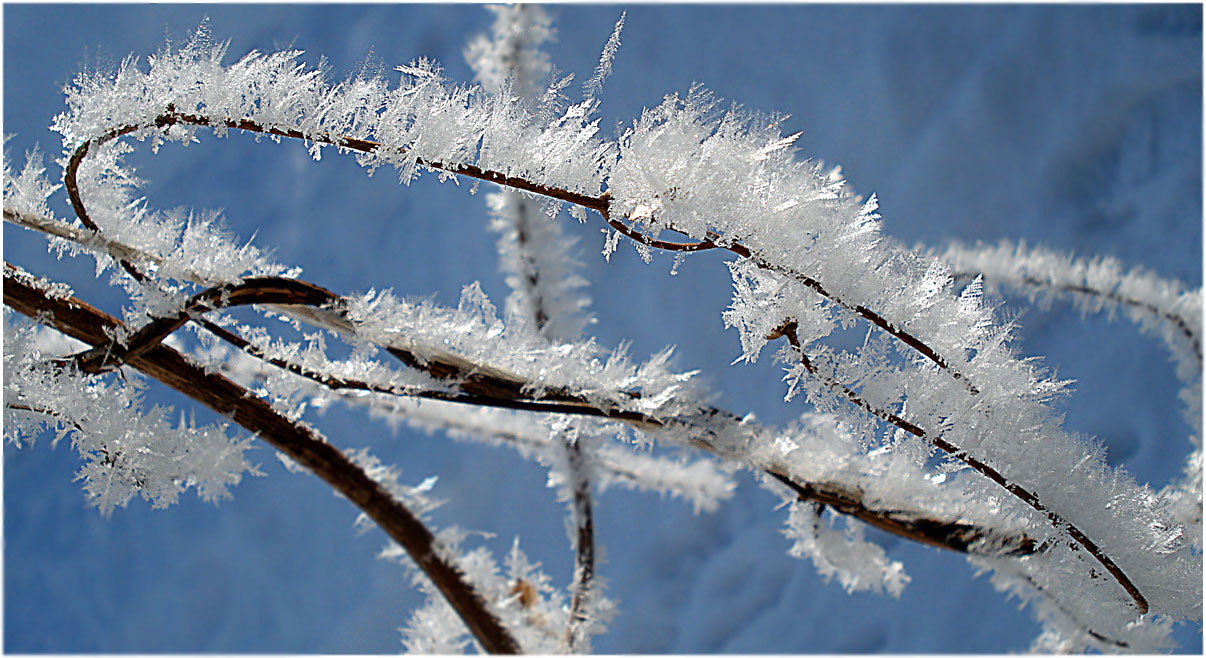 ������: ������� �� �������!!