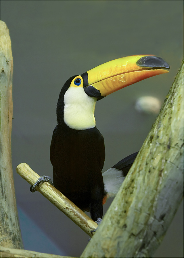 �����:  * * * 