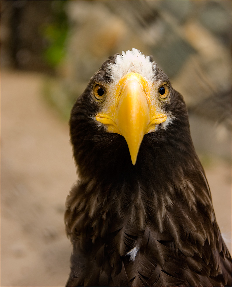 �����: �� ����� ������ �����