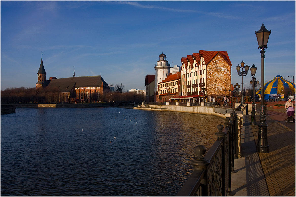 �����: ʸ��������