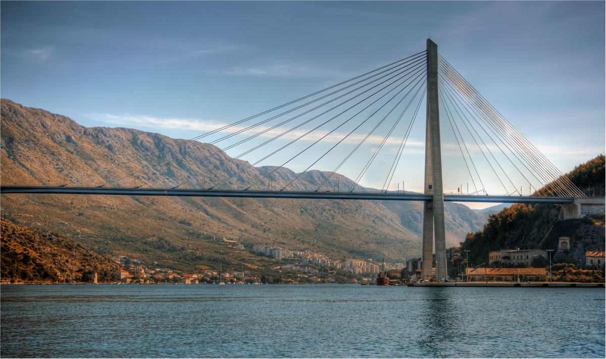 �����: ����