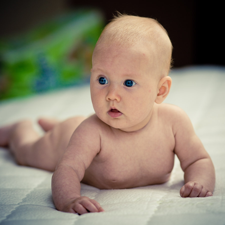 ����: ������