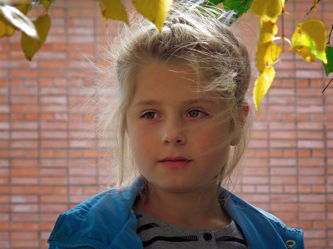 ����: ������� ��������