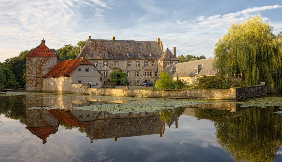 �����: ������ �����.