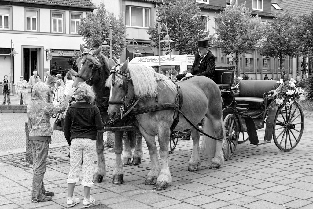 ����: � �������� �����������.