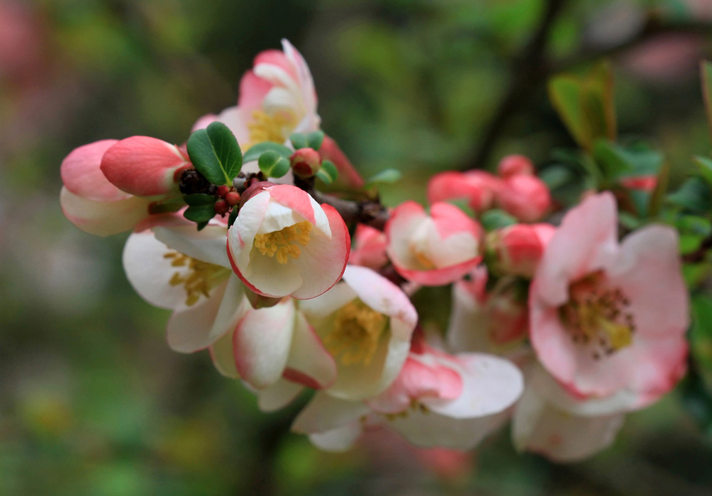 �����: ��������� ����������