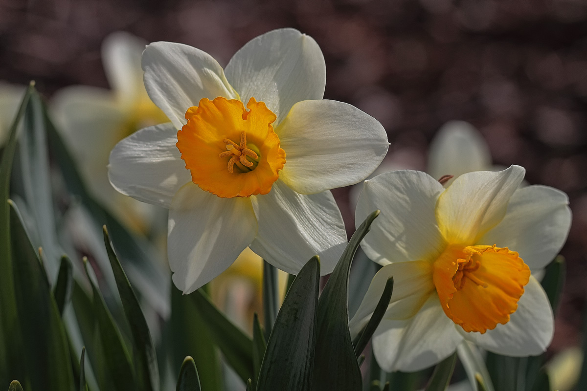 �����: ��������� ����....