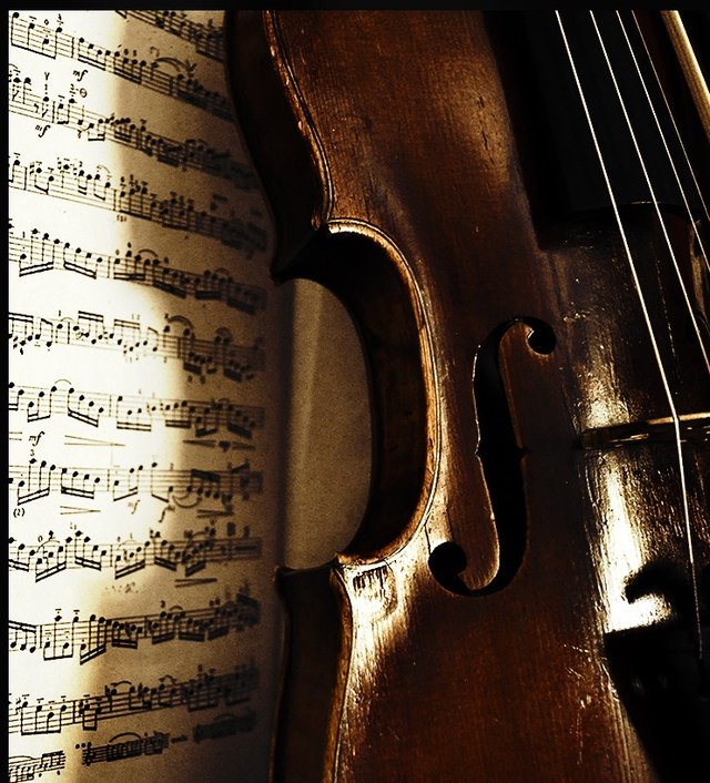 : Violin