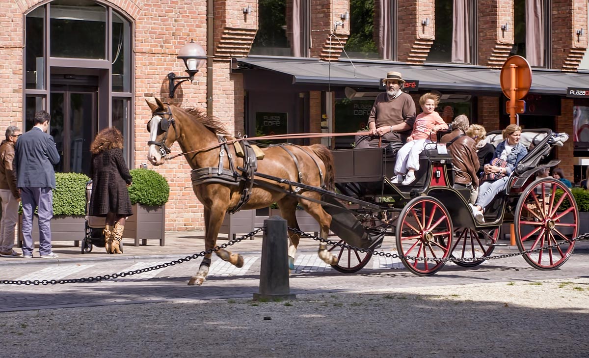 ����: ���� ���� ....