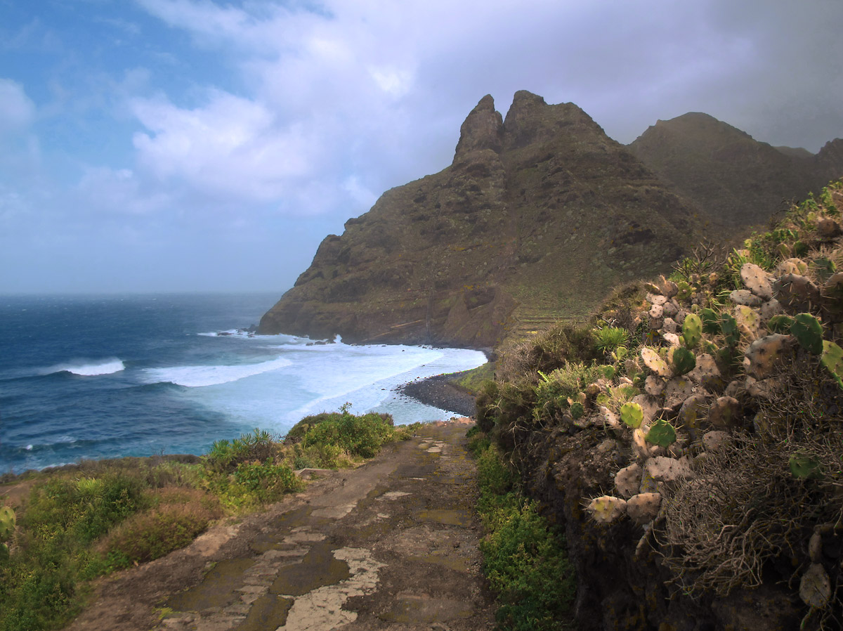 : Punta Hidalgo