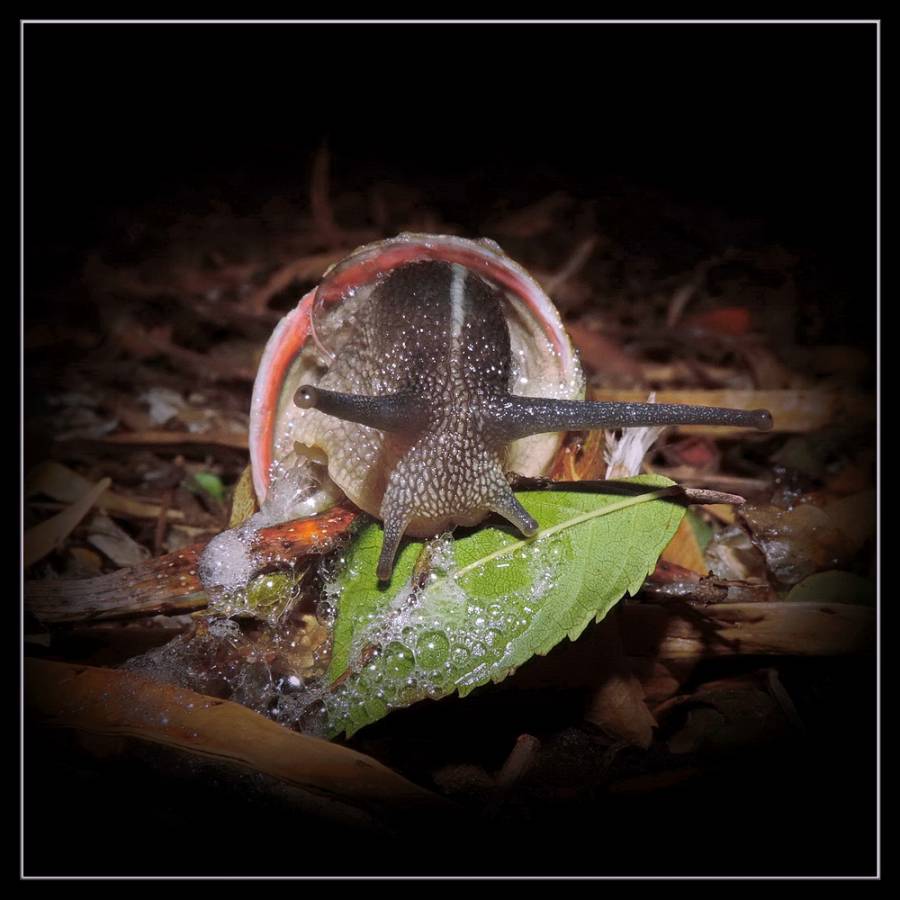 �����/����: ������ ��������