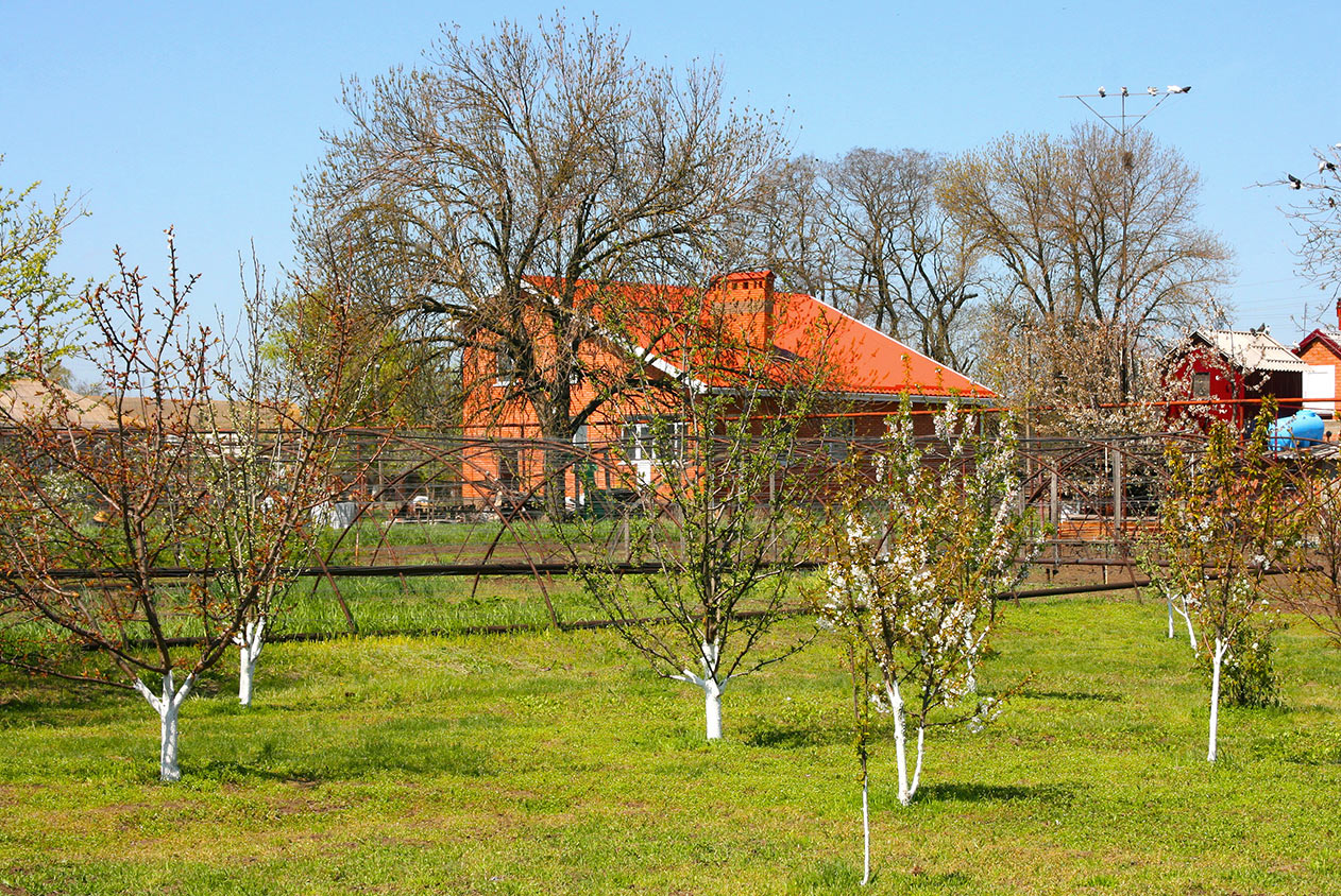 �����: ����� � ��� ����