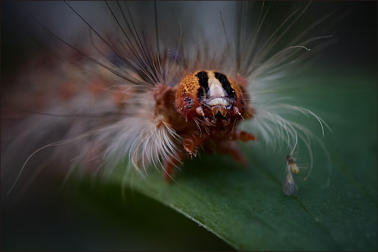 �����/����: ���������