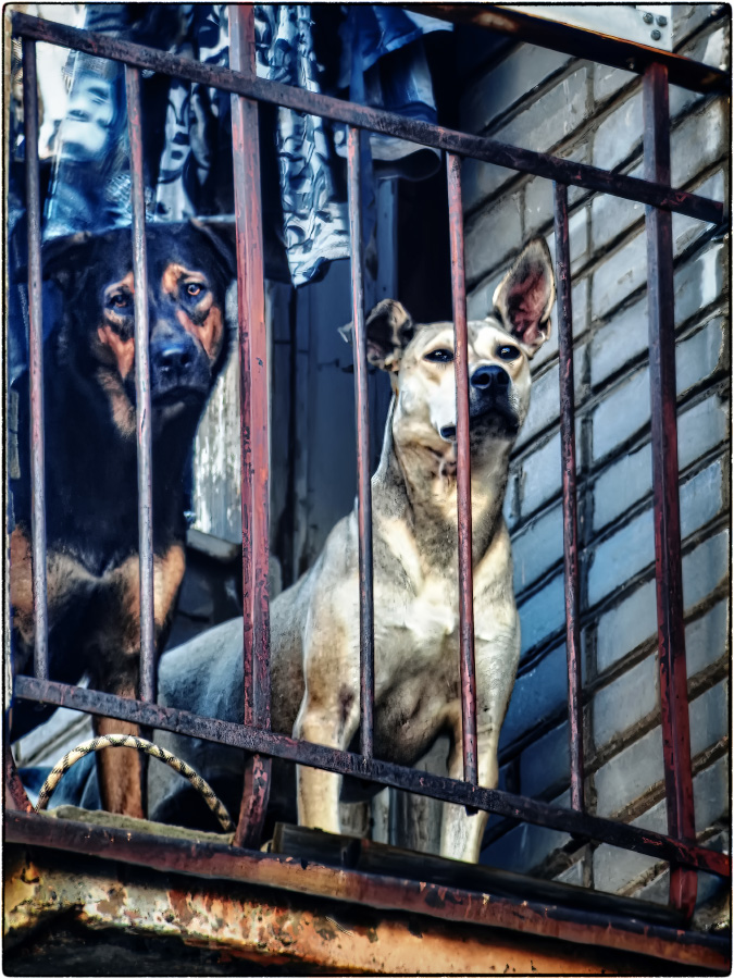 �����: �� �������