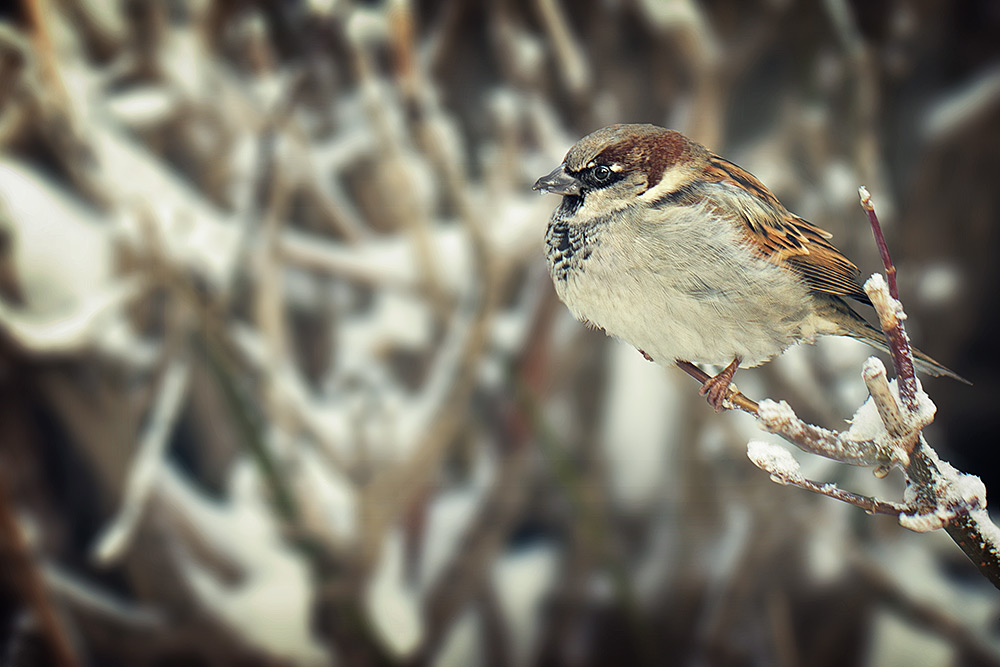 �����: ��� ������ ��� �������?