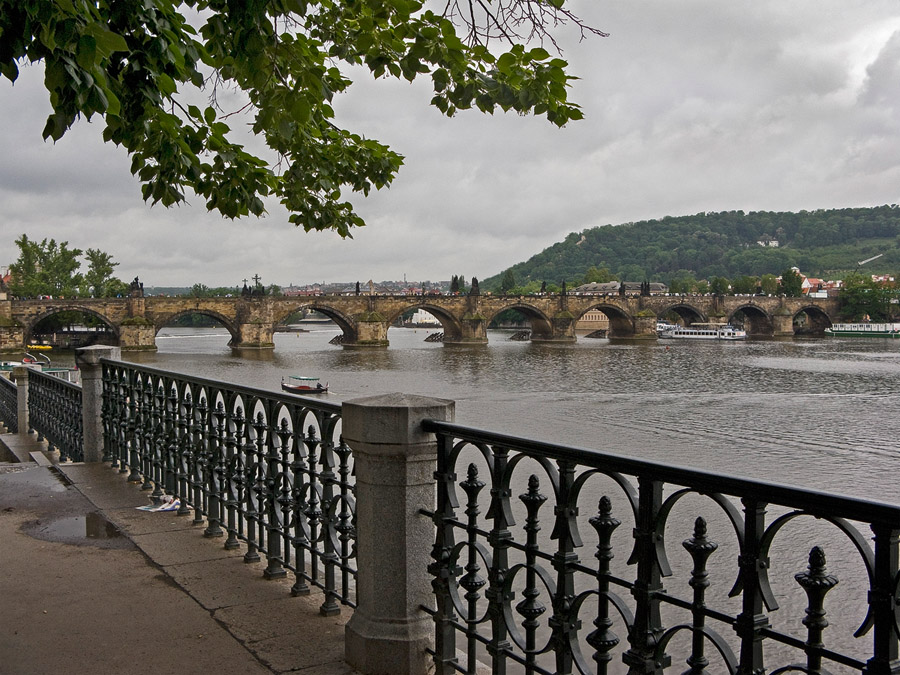 �����: �����