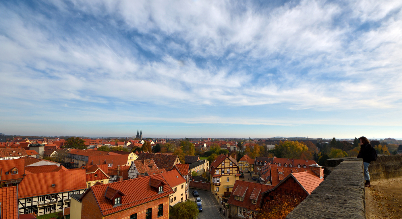 �����: ***