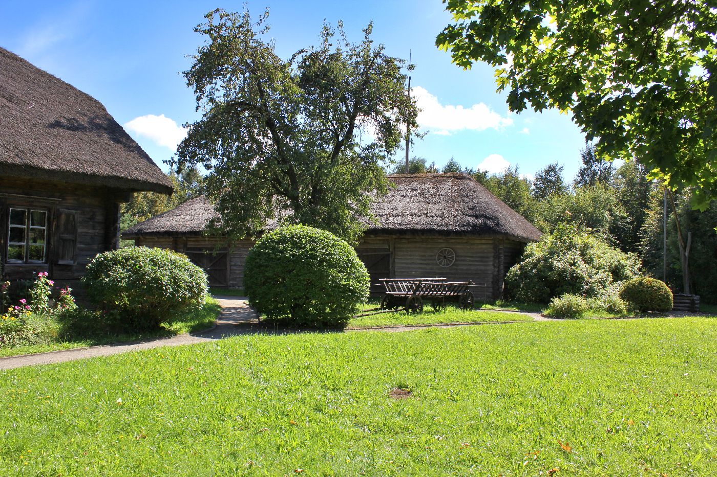 �����: ...