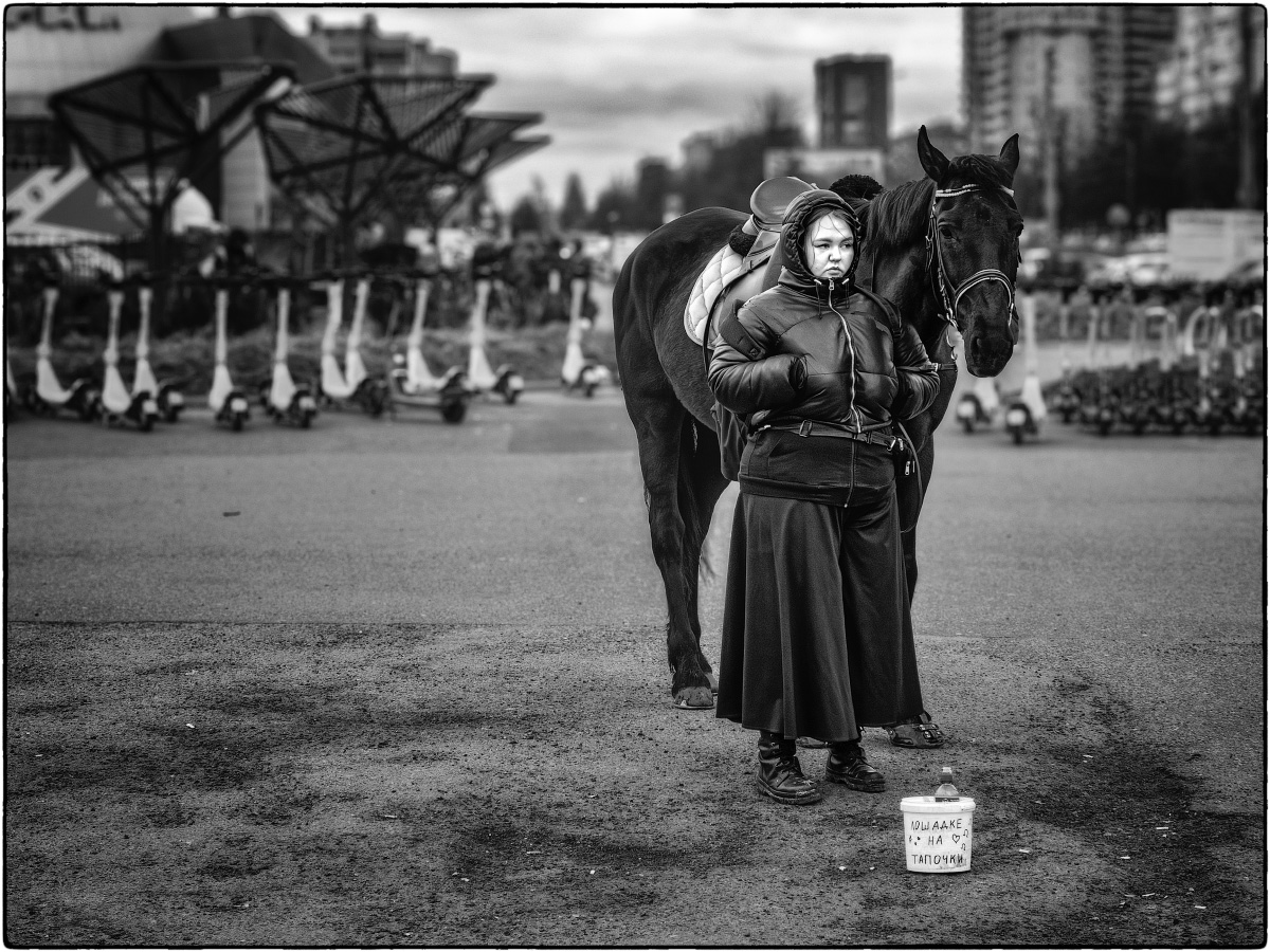 ����: �����������