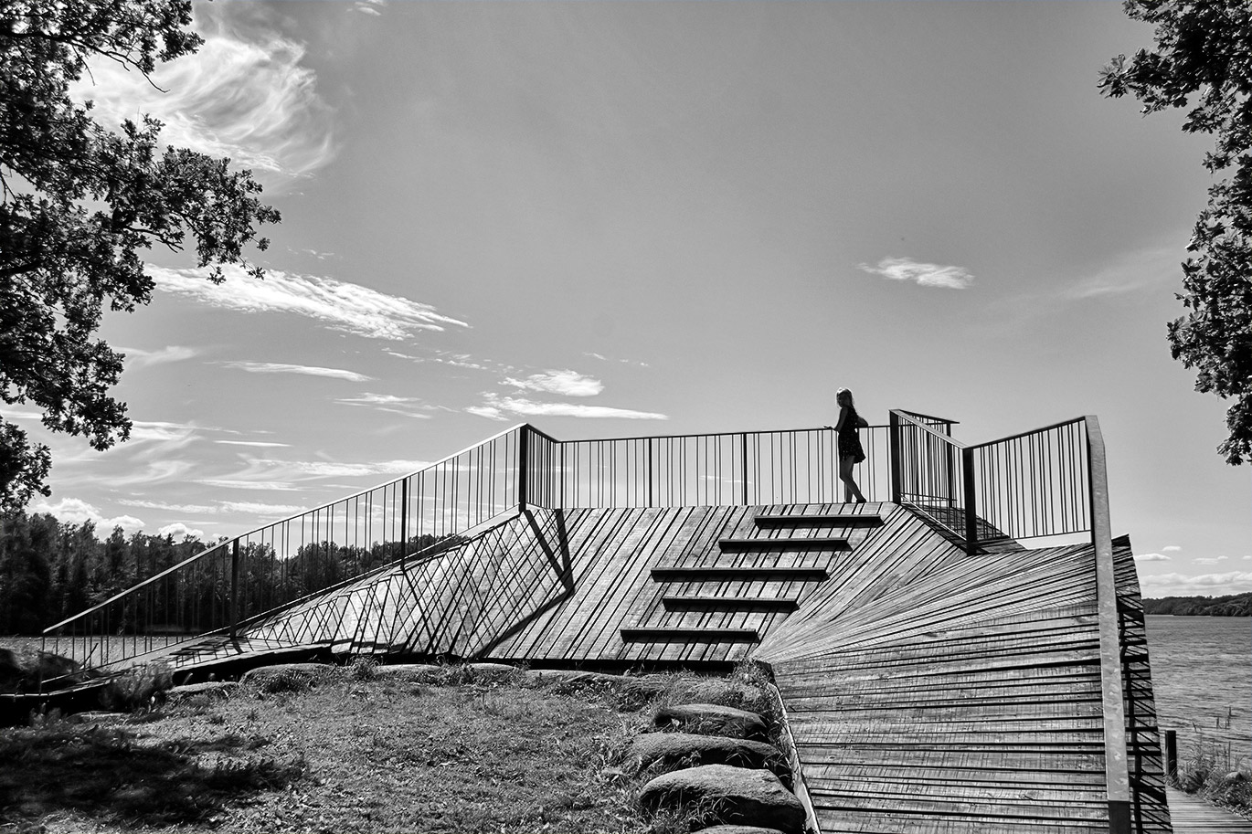 ����: ������