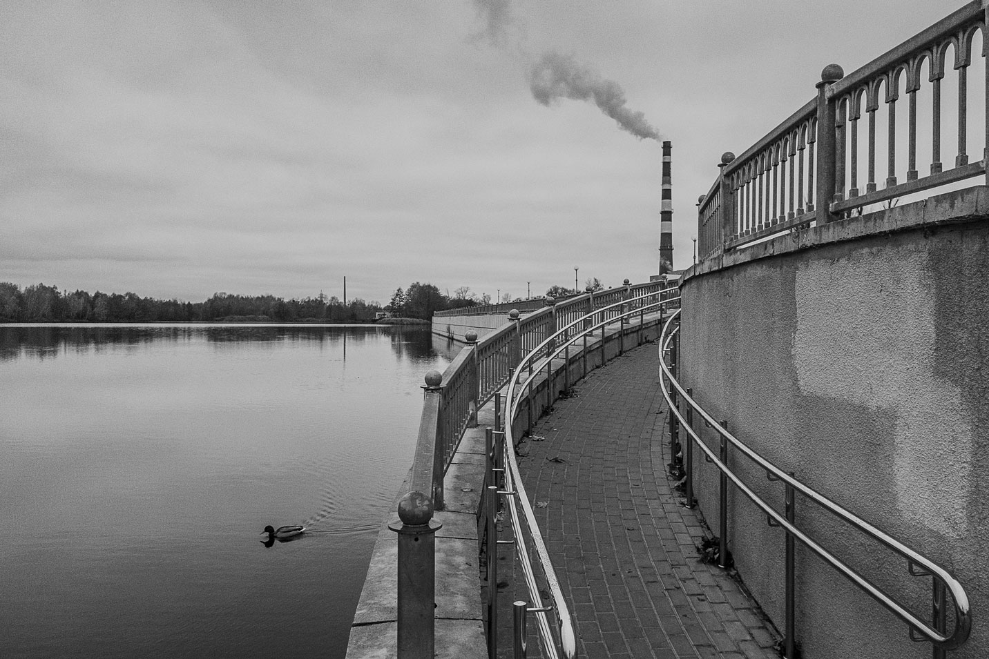 �����: ***