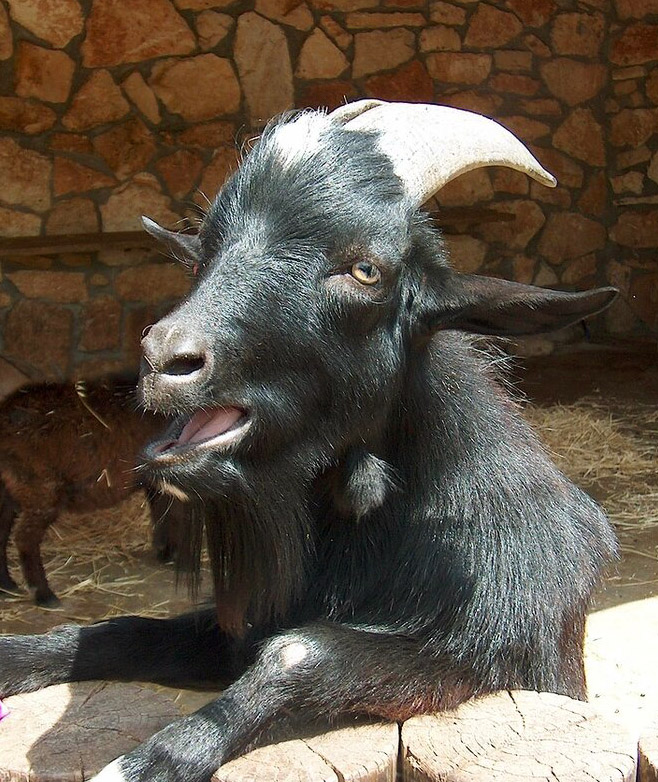 �����: ��� ��� ����? �� ����� ��������...