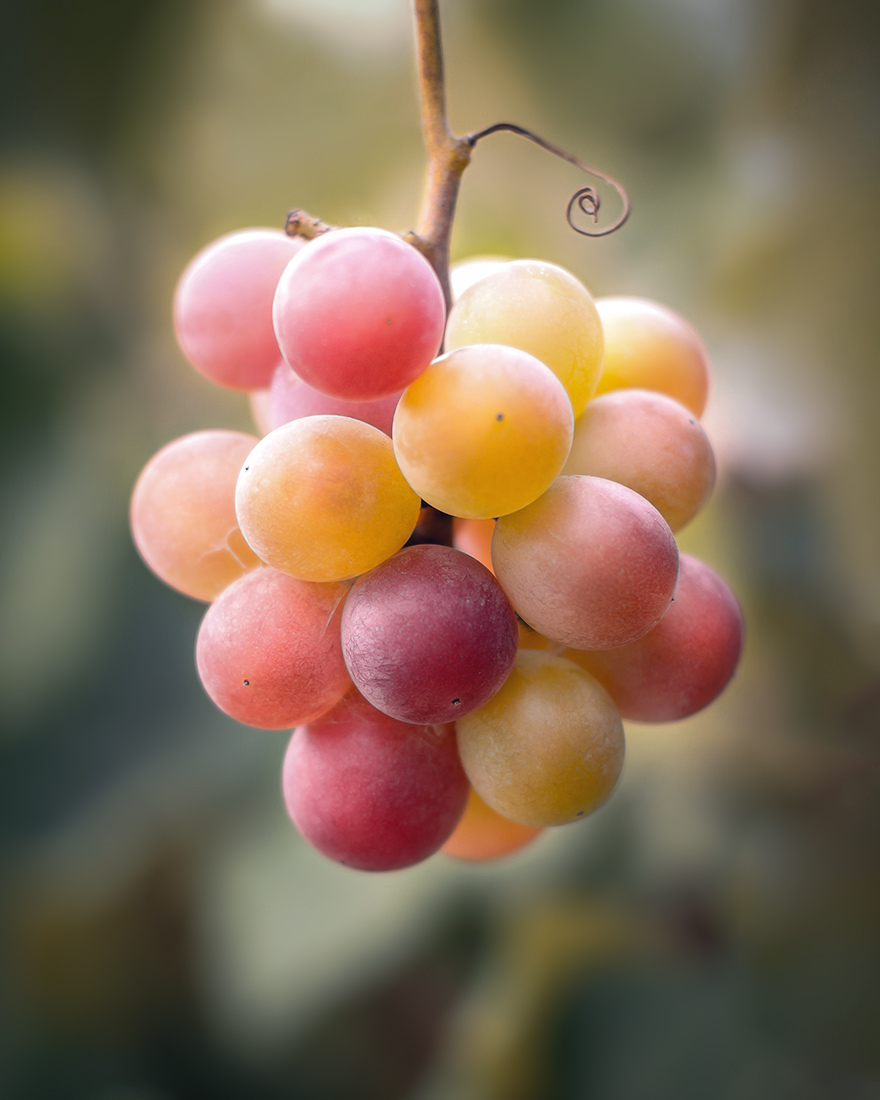 �����: ����� ���������� ������