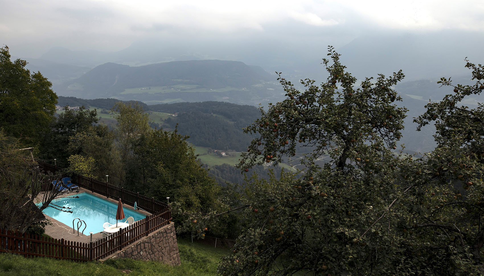 �����: ****