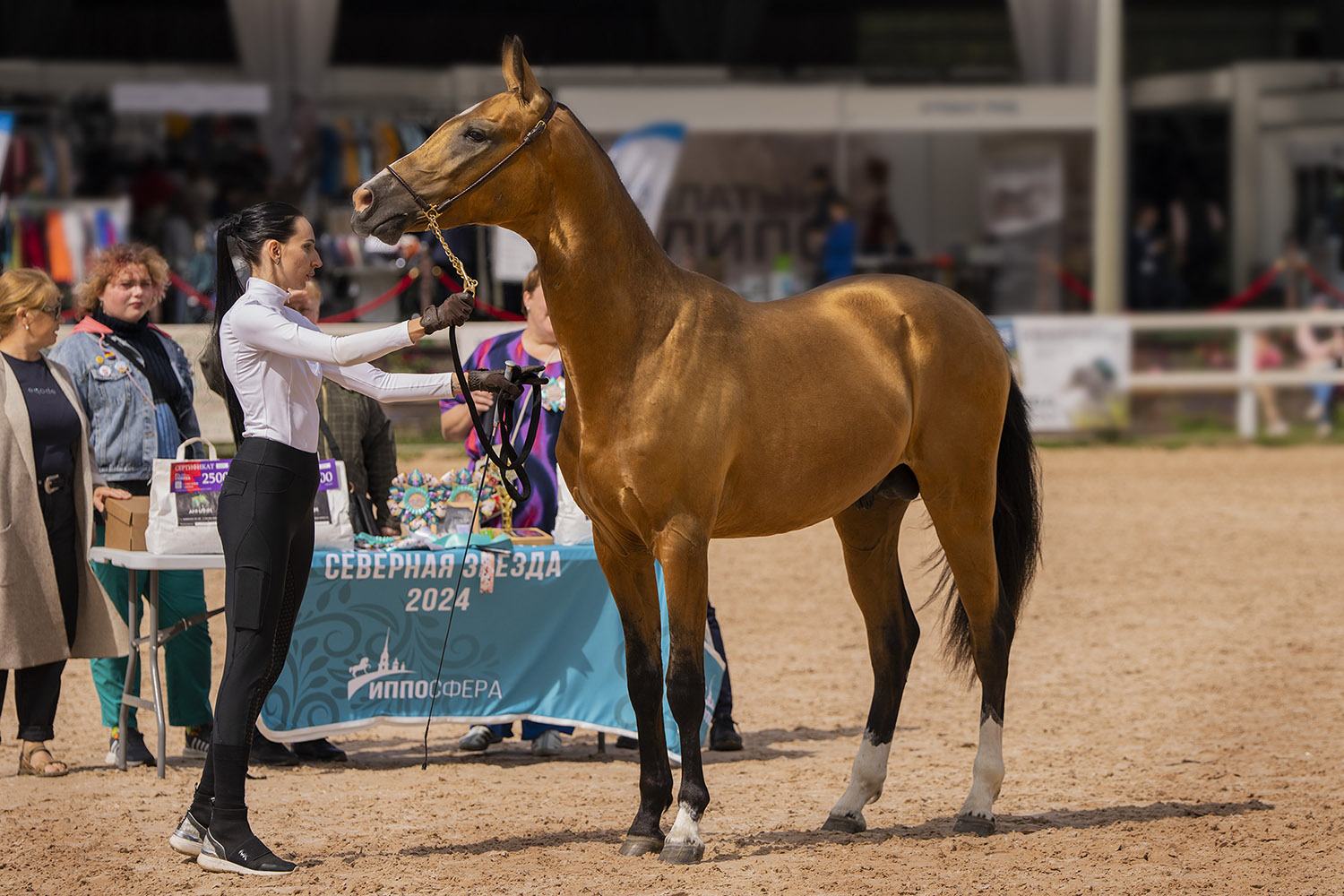 ��������: �������