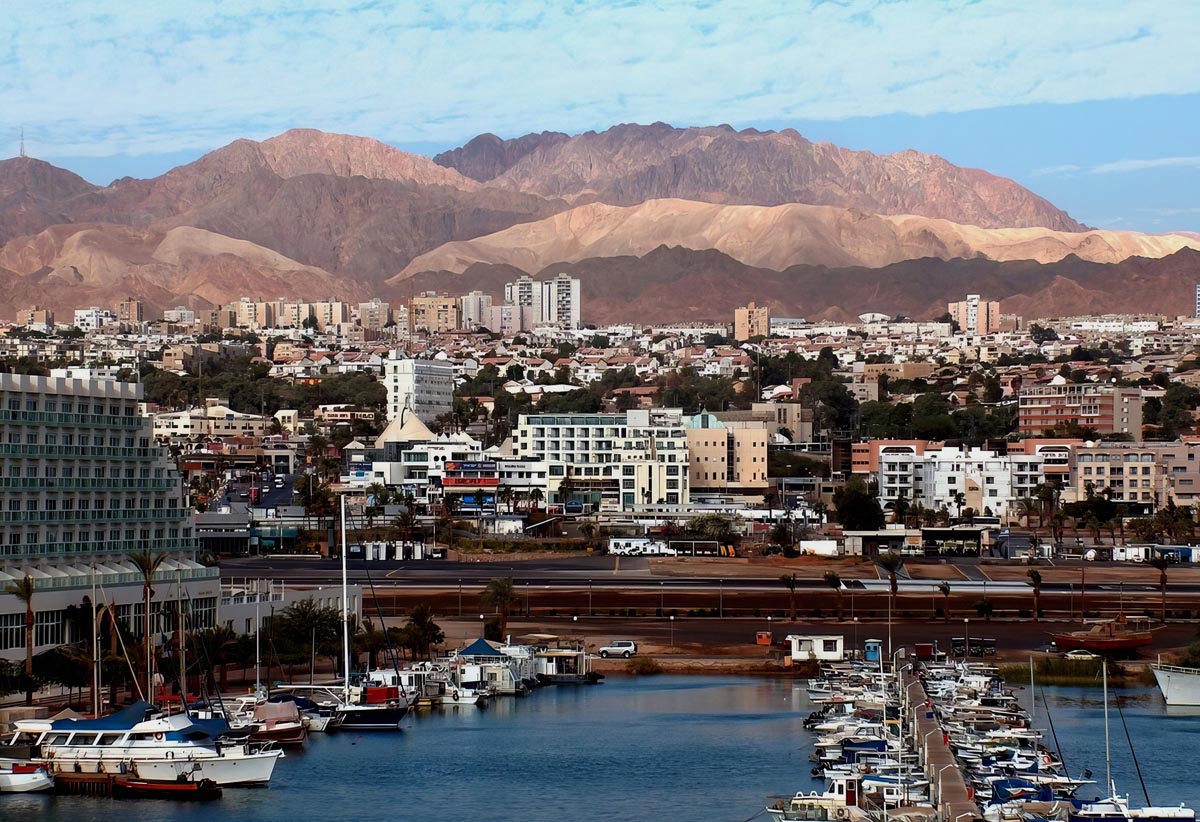 �����: �����