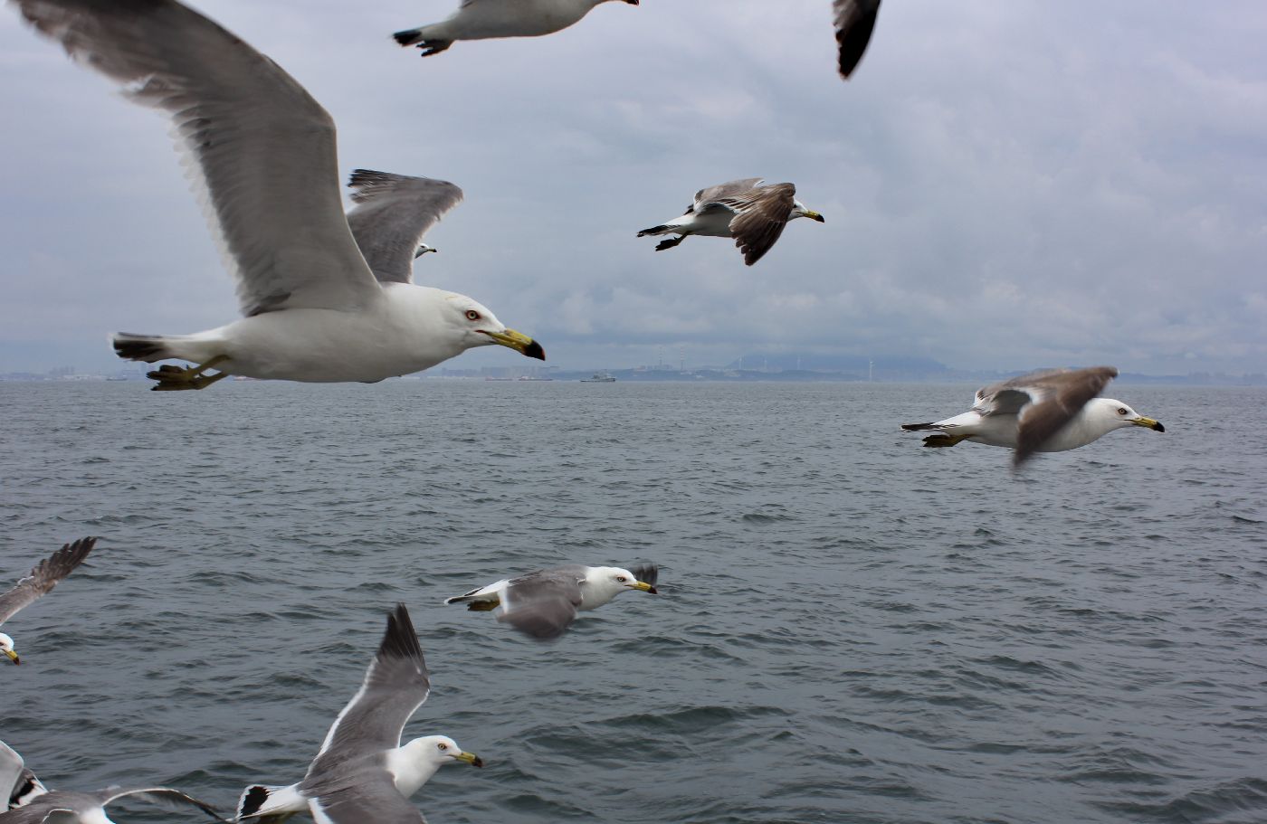 �����: ...