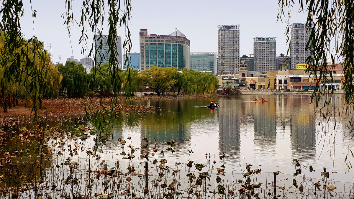 �����: ����