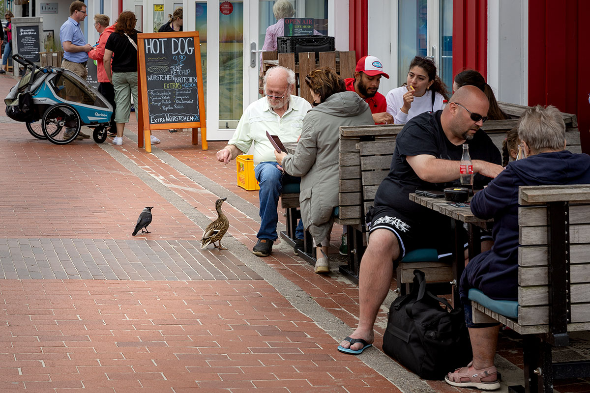 ����: ��������.