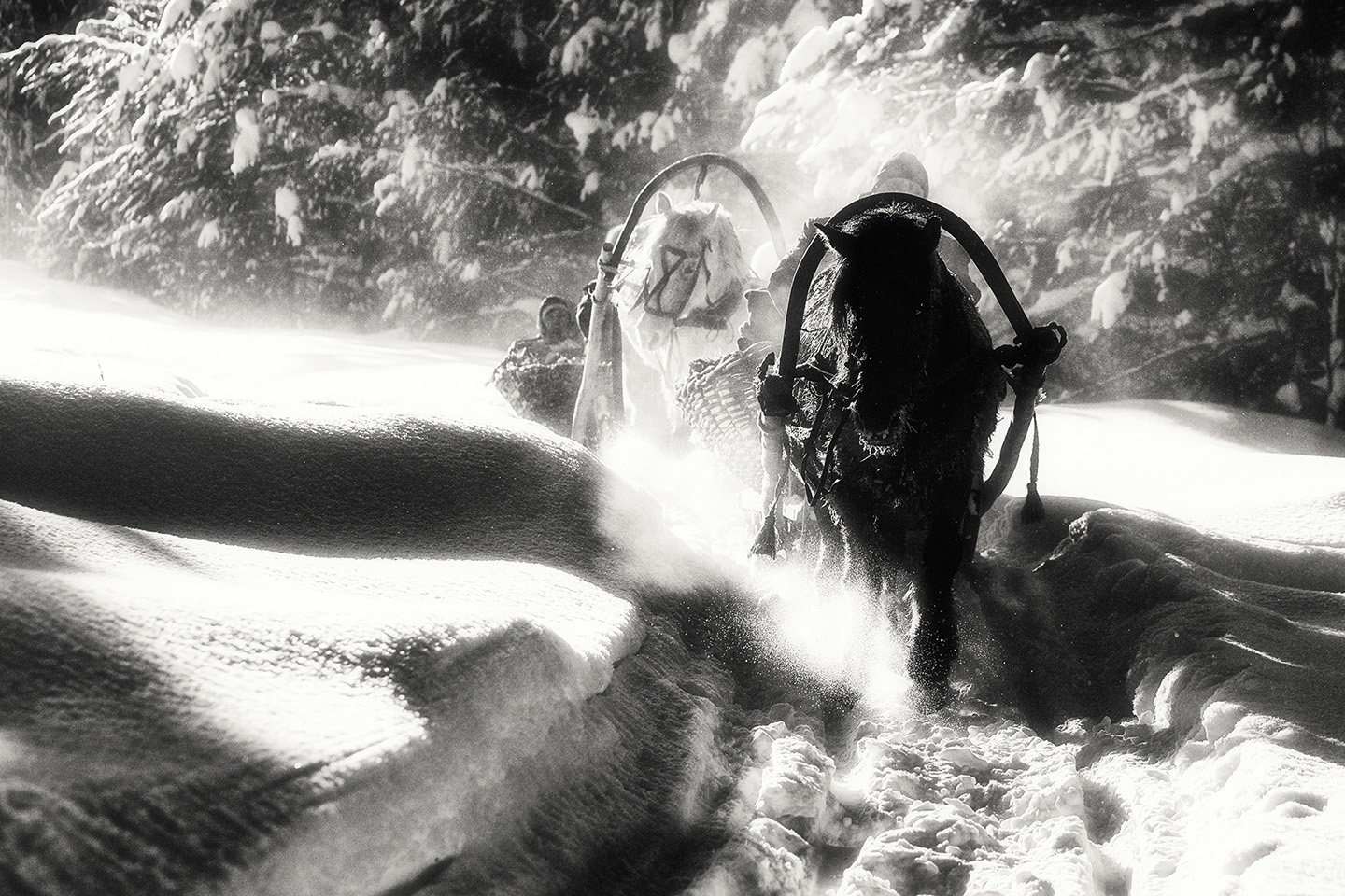 ������: ���������� ������